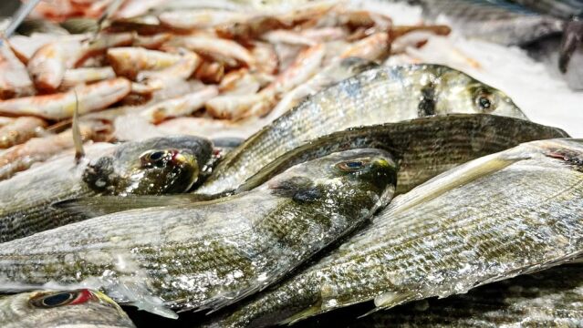 tyligadas_fish_4