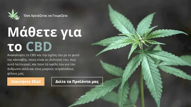 00_cannabisland_img_